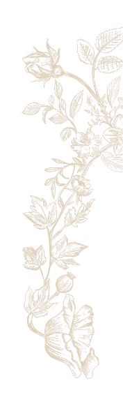 Flower Pattern